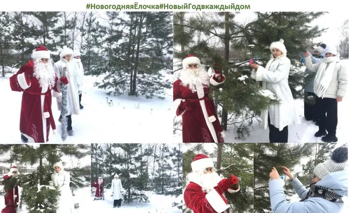 Новый год в каждый дом (2)