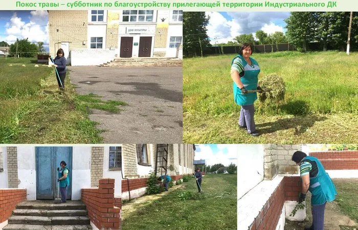 Субботник - покос травы
